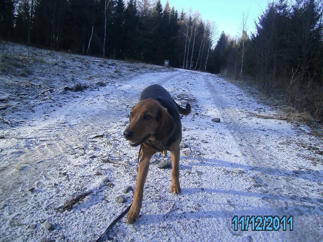 PICT0094m.JPG