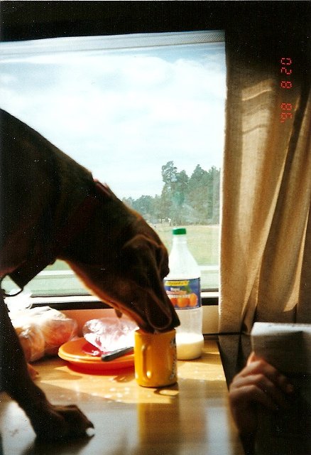 ScannedImage-15.jpg