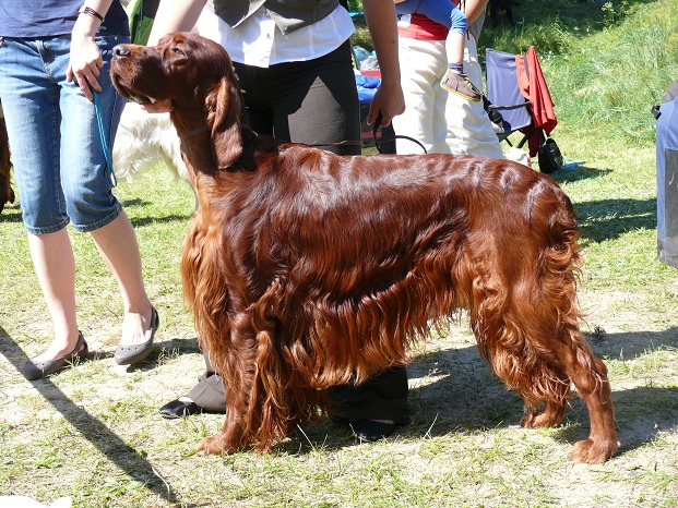 r2.jpg