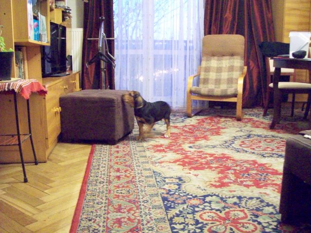 100_0414.JPG