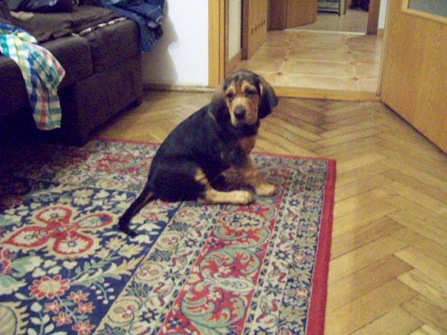 100_0439.JPG