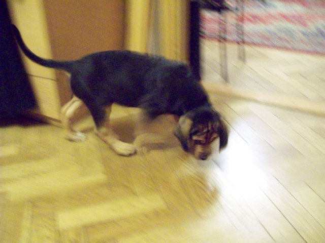 100_0459.JPG