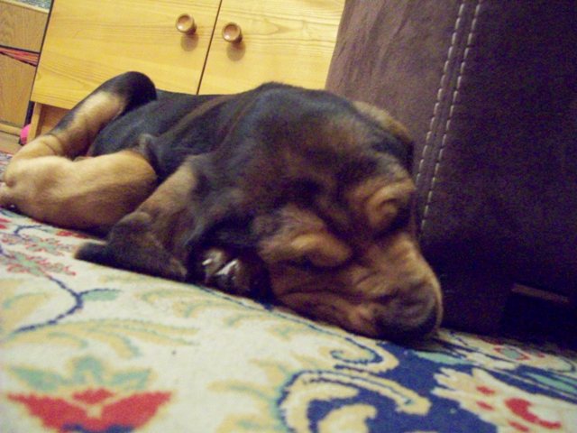 100_0488.JPG