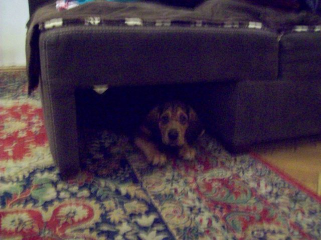 100_0659.JPG