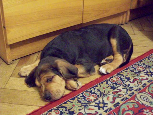 100_0480.JPG