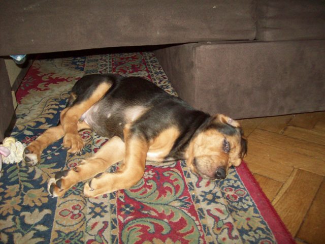 100_0686.JPG