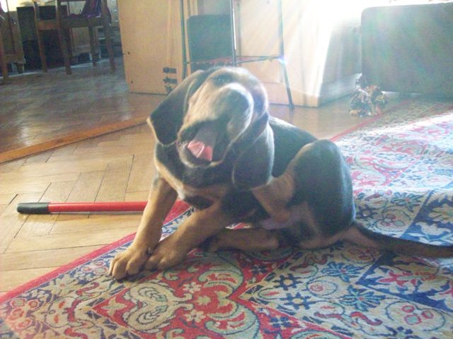 100_0540.JPG