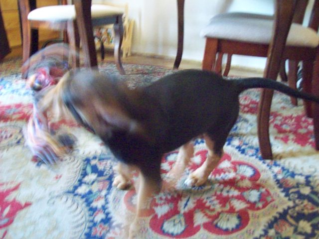 100_0601.JPG