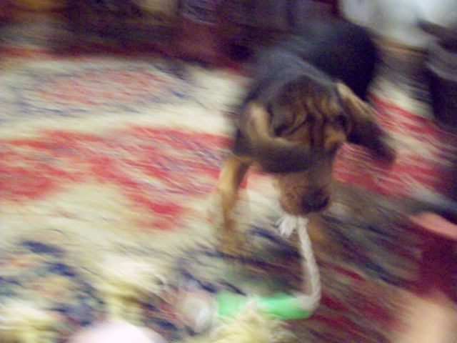 100_0722.JPG