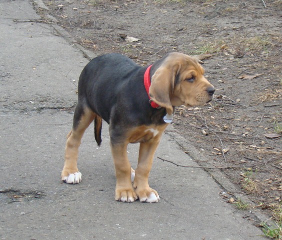 DSC07247.JPG