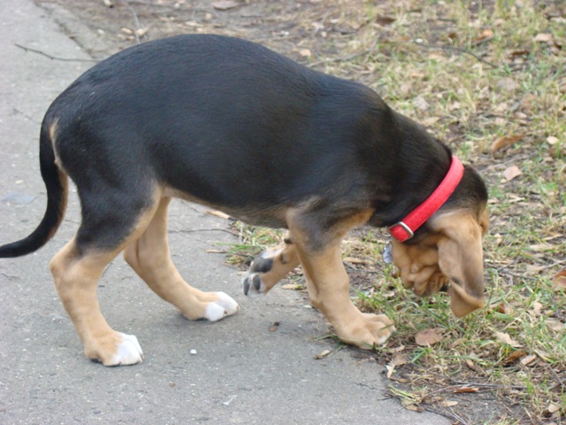 DSC07251.JPG