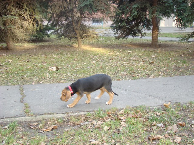 DSC07253.JPG