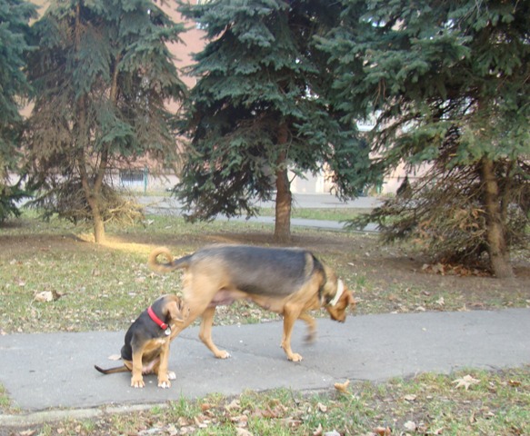 DSC07256.JPG