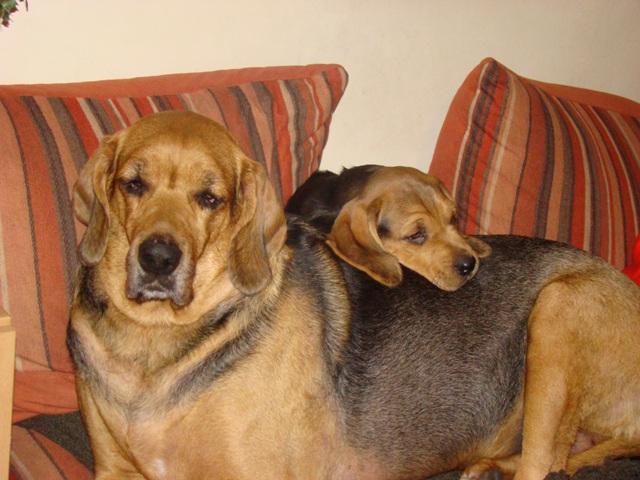 DSC07363.JPG