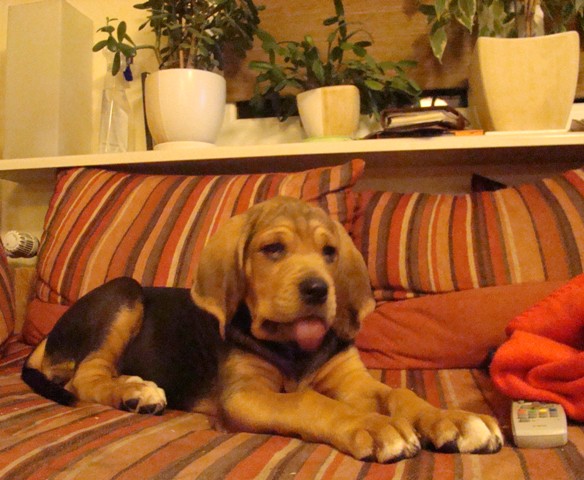 DSC07346.JPG