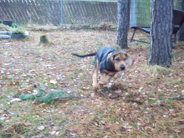100_0941.JPG