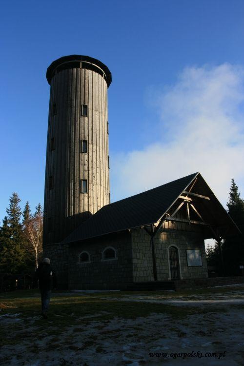 Borówkowa Góra.