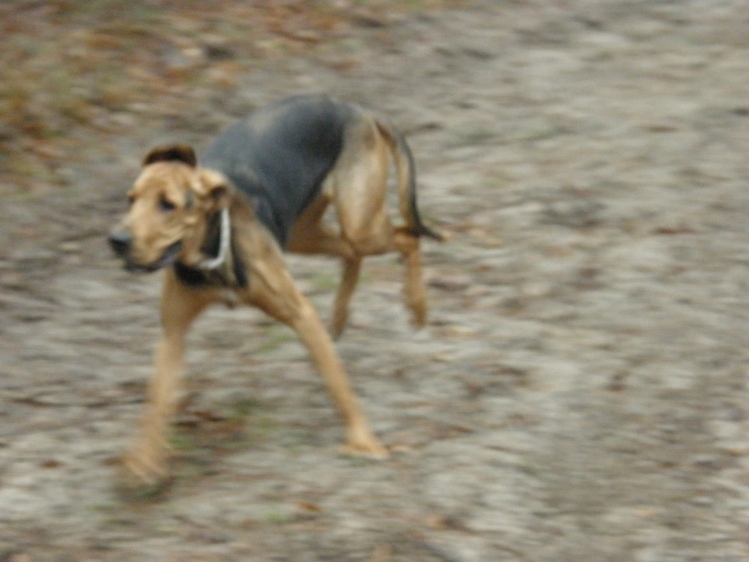 PC250054.JPG