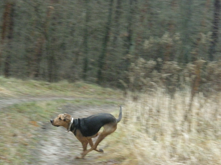 PC250052.JPG