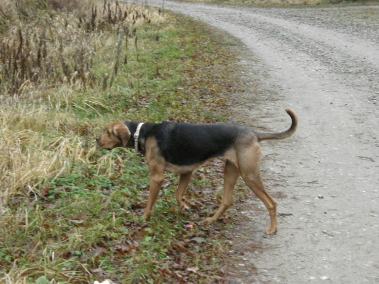 PC250049.JPG