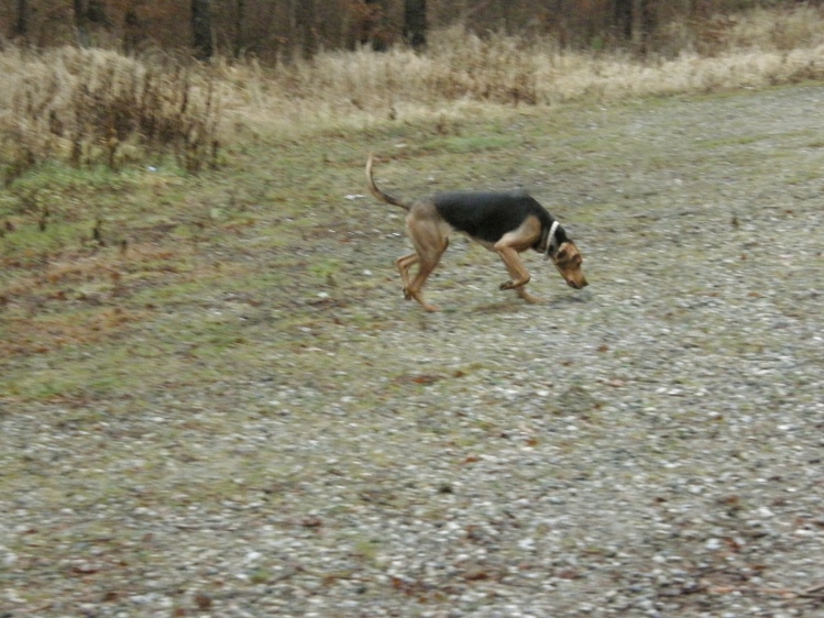 PC250039.JPG