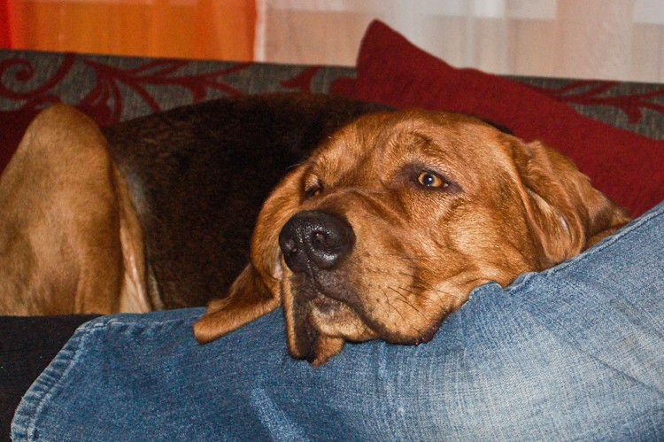 lenie (5 of 7).jpg