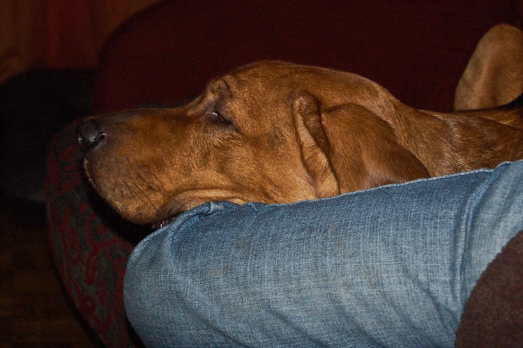 lenie (6 of 7).jpg