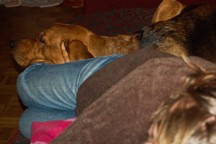 lenie (7 of 7).jpg