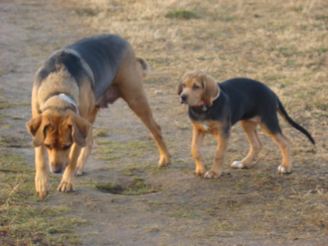 DSC07452.JPG