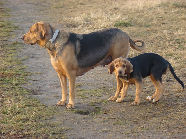 DSC07451.JPG