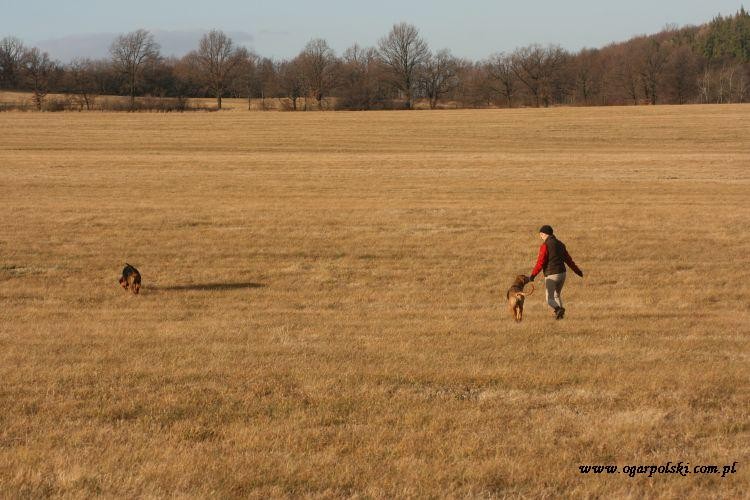 grudzień 324.jpg