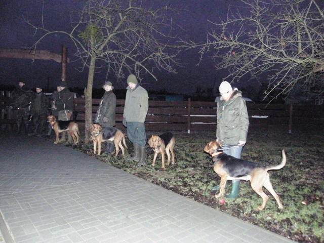 785.JPG