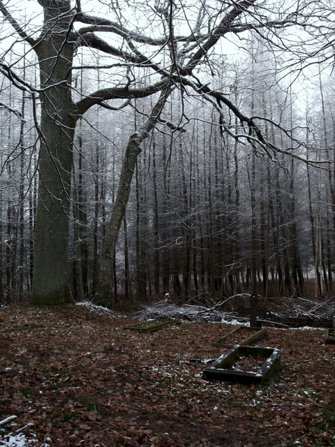 zapomniany cmentarz