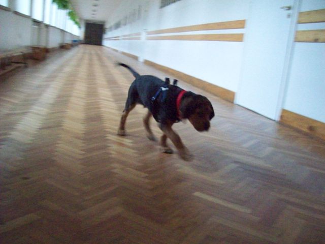 Spadam stąd