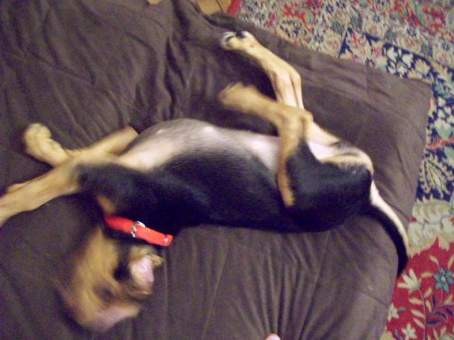 100_0972.JPG