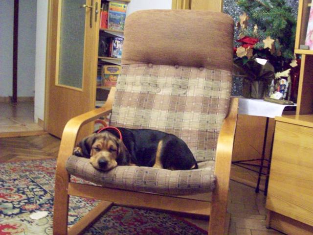 100_0981.JPG