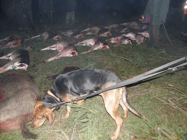 975.jpg