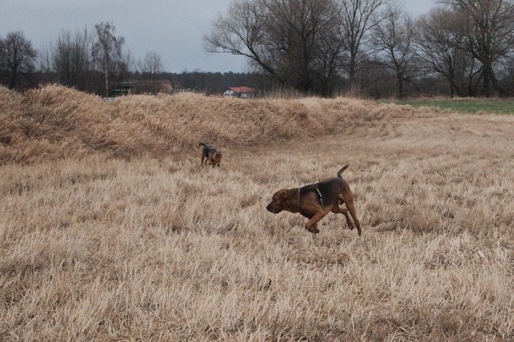 calveciki stycz12 (26 of 32).jpg