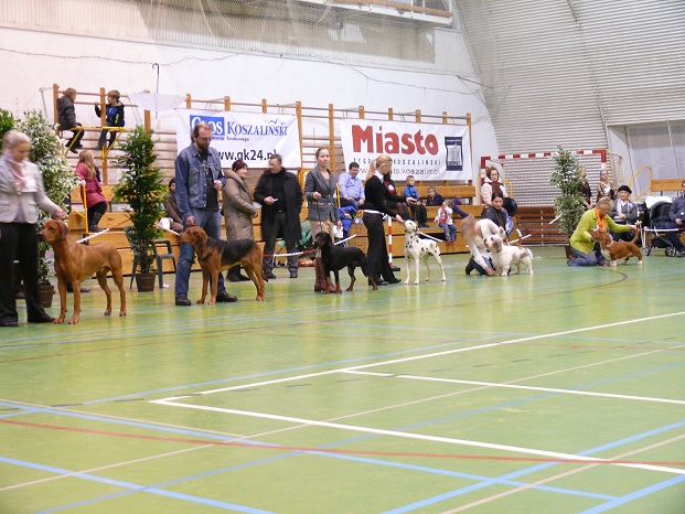 Finał grupa VI