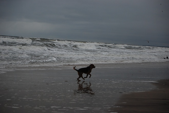DSC_0130.JPG