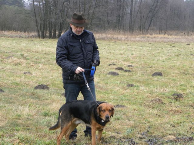 I żeby nie latać po innych wątkach. Główne osoby dramatu: pies, pan i jego trofiejny kapelusz. <br />To co Pan ma na twarzy było efektowniejsze. Dzień wcześniej odwiedził fryzjerkę celem wyrównania. Pani płaci wyższe rachunki.