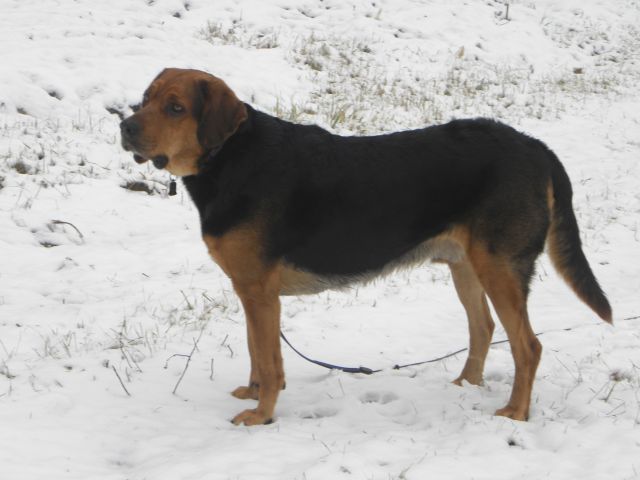 Obraz styczeń 2012 513.jpg