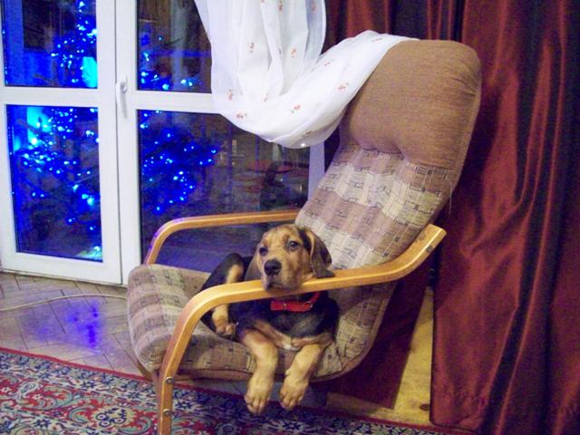 100_1105.JPG