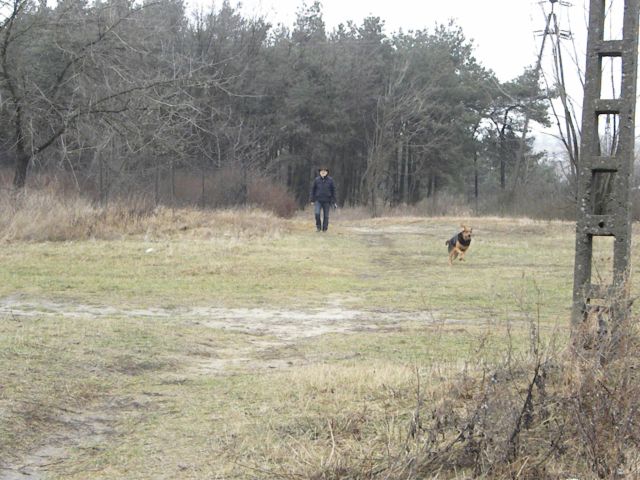 Obraz styczeń 2012 302.jpg