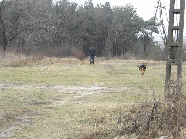 Obraz styczeń 2012 306.jpg