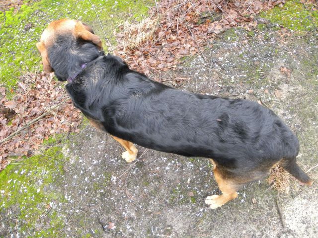 Obraz styczeń 2012 648.jpg