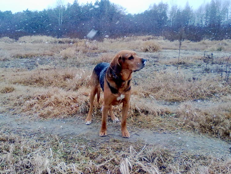 201201130001.jpg