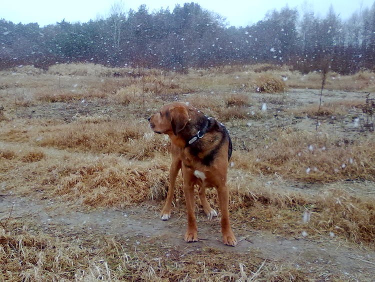 201201130002.jpg