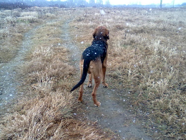 201201130003.jpg