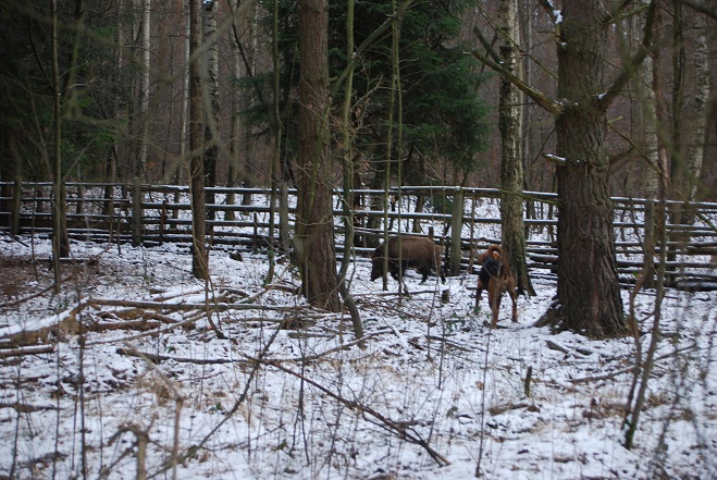 DSC_0341.JPG